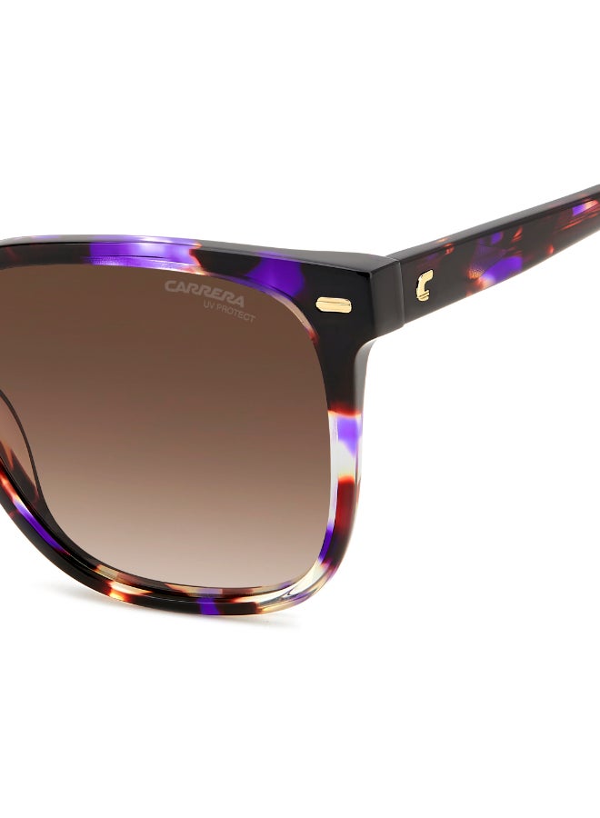 Carrera SQUARE CARRERA SUNGLASSES FRAMES - Image 5